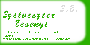 szilveszter besenyi business card